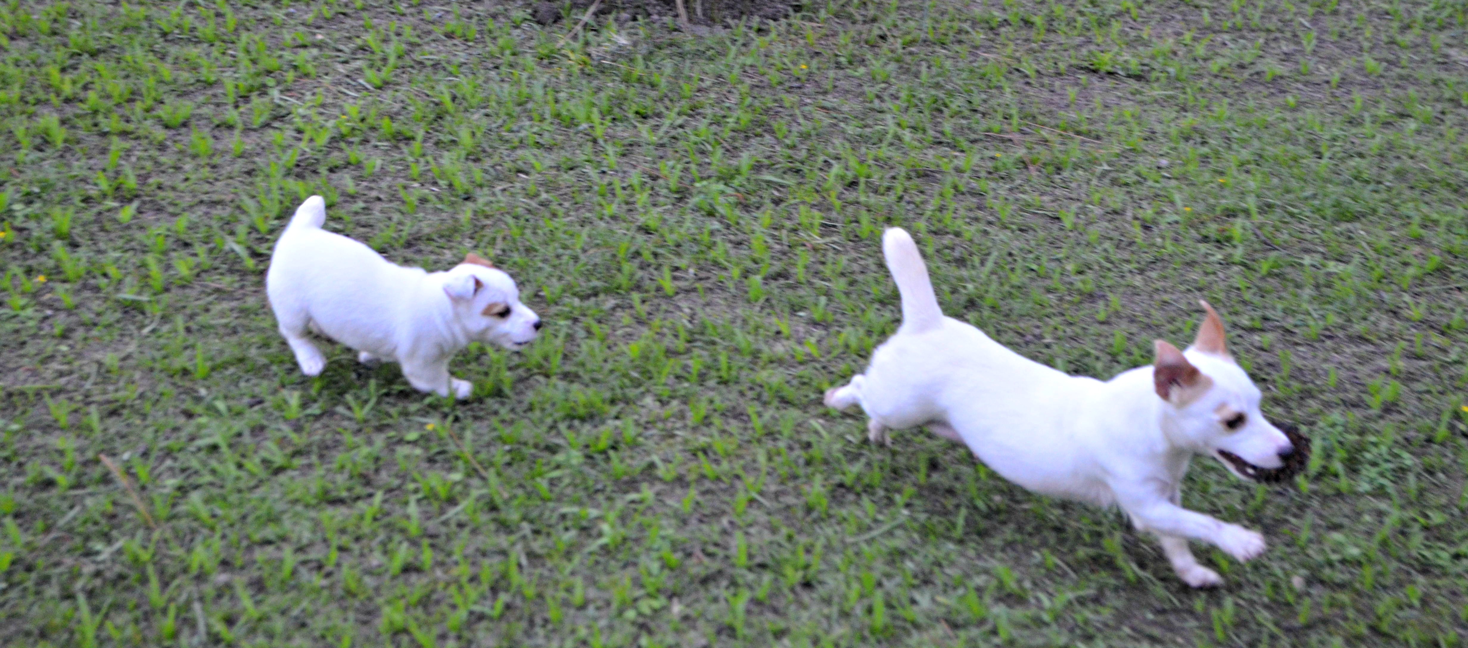 Lua com sua filha Lola Ponta do Recreio
