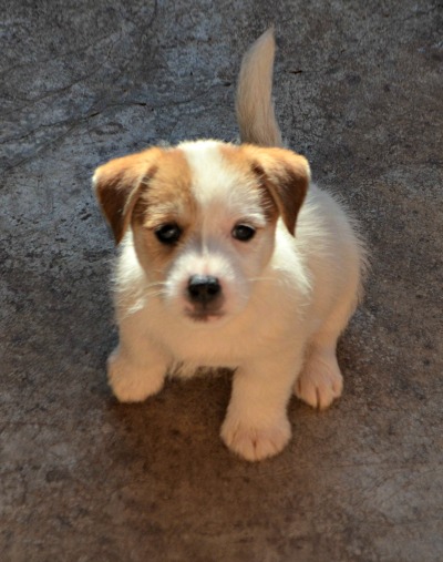  Momo Ponta do Recreio