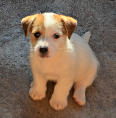  Momo Ponta do Recreio