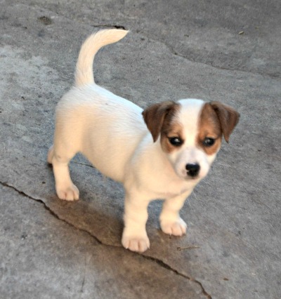  Mago Ponta do Recreio