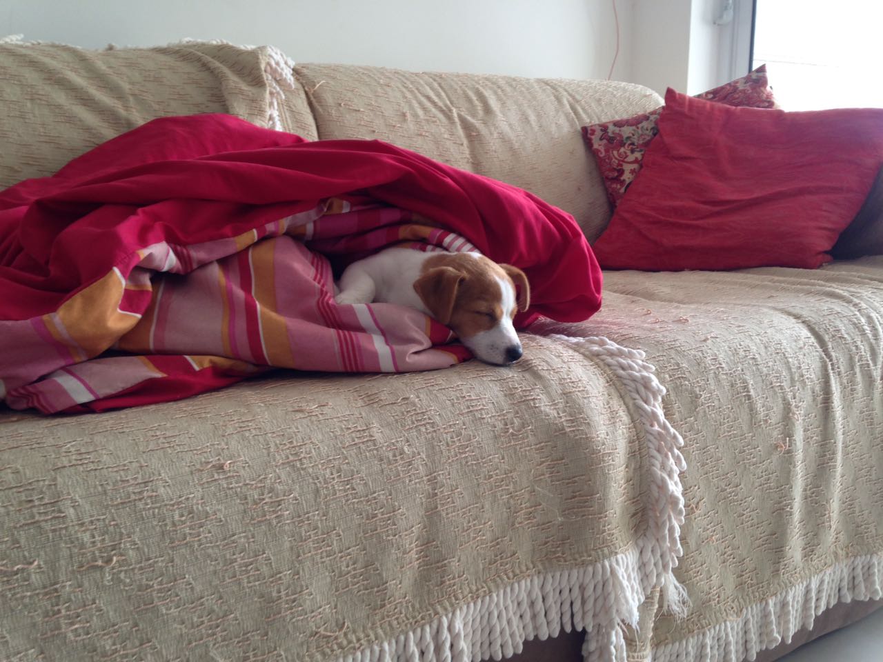 Ana Carolina em seu novo lar!