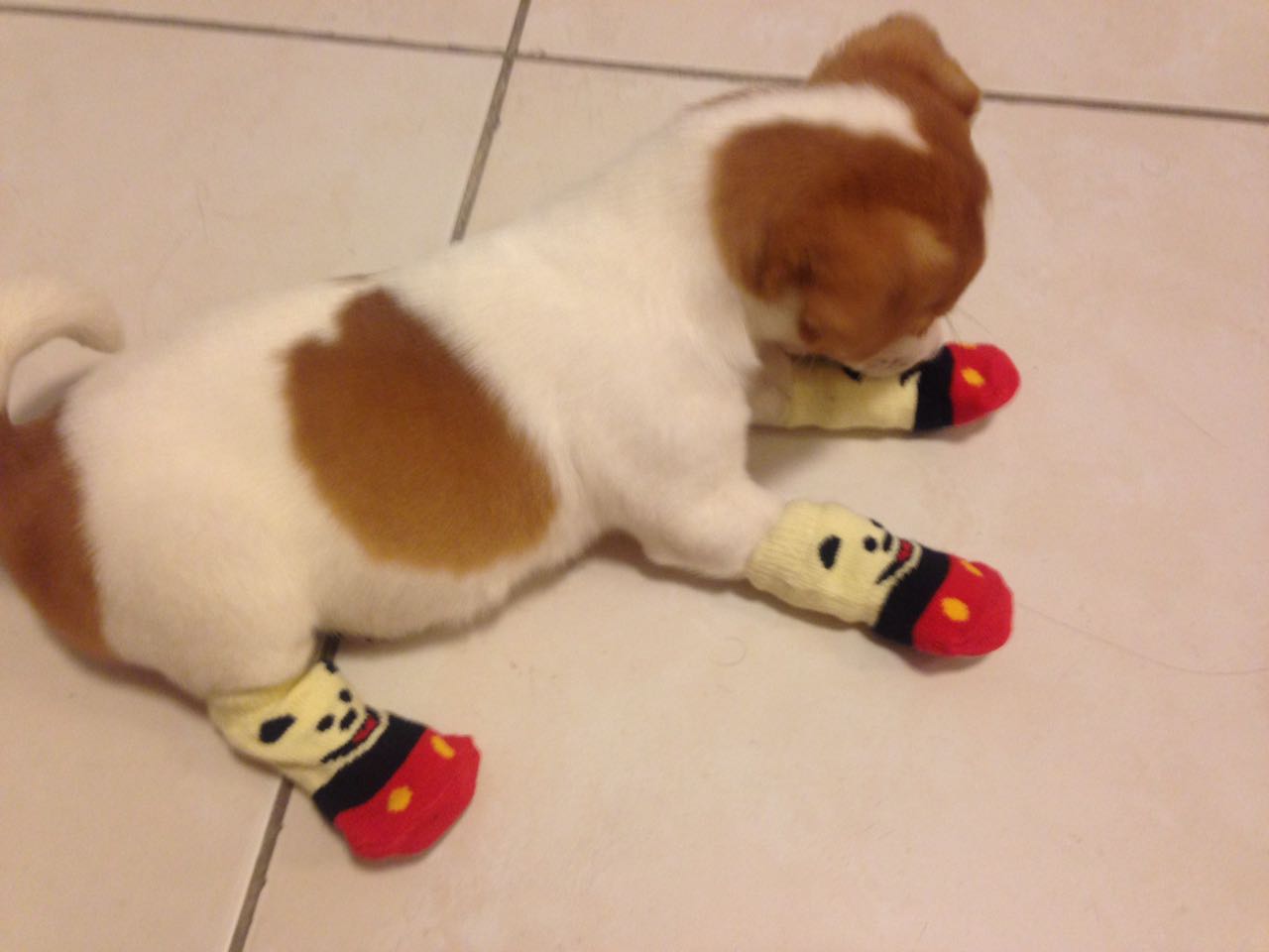 Ana Carolina cheia de estilo!