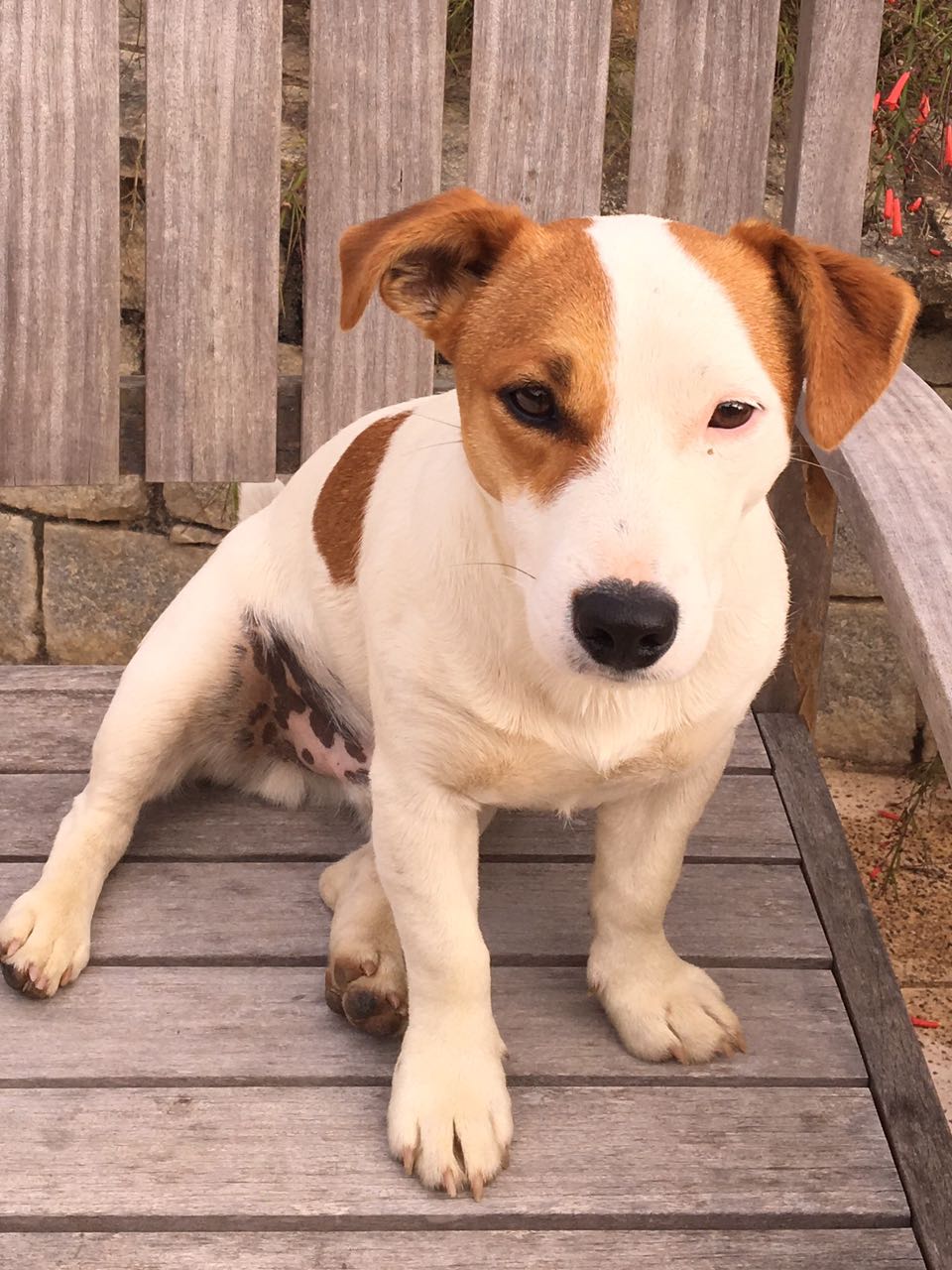 Comandante no seu novo lar