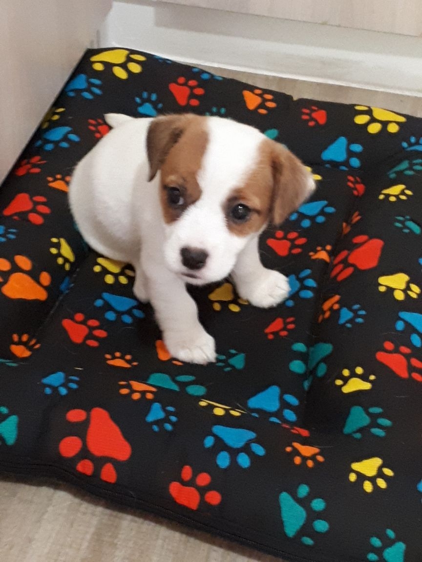 Ana Maria Ponta do Recreio em seu novo lar